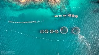 FPV Pousada Nautilus  Ilha Grande 4k [upl. by Regni]