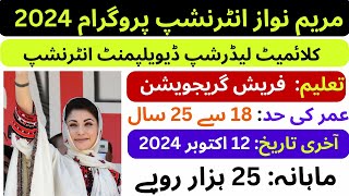 CM Punjab Internship Program 2024  Internship program for youth Maryam Nawaz Internship Program [upl. by Konyn174]