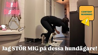 Varför en dansk svensk gårdshund Speed Cleaning  VLOGG [upl. by Sievert]