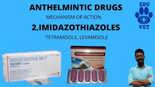 Levamisole MOAImidazothiazolesBroad Spectrum Anthelmintic [upl. by Linetta]