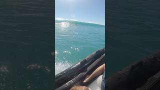 Catching a wave on a jet ski hawaii waves wavesurfing [upl. by Tamar]