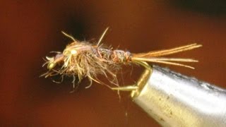 How to tie a Flashback Hairs Ear Nymph [upl. by Janith]