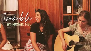 Tremble by Mosaic Cover Music Video [upl. by Yarvis]