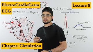 ECG Electrocardiogram fully explained  Chapter circulation  Video 8 [upl. by Lorain]