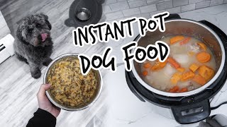 DIY Healthy Dog Food  Instant Pot Meal [upl. by Llennhoj]