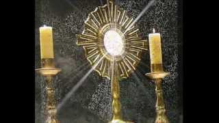 Sono qui a lodarti Corpus Domini 2012wmv [upl. by Chryste]