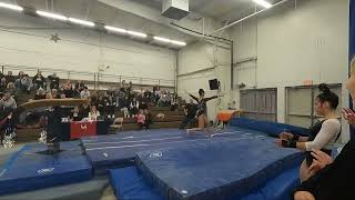 Lily Power 2024 Parkettes Invitational  Vault [upl. by Arramat122]