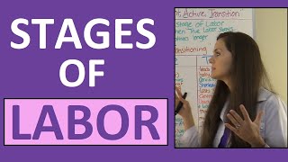 Stages of Labor Nursing OB for Nursing Students  Stages of Labour NCLEX Explained Video Lecture [upl. by Airdua400]