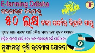 How to Apply Mukhyamantri Krushi Udyog YojanaNew Scheme For Farmer By Odisha Govt [upl. by Simah929]