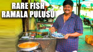 Rare Indian Fish  Ramala Pulusu  Fish Pulusu [upl. by Nnaj]