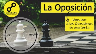 Cómo Leer a Las Oposiciones en una Carta [upl. by Jacquet101]