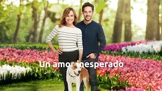 Un amor inesperado 2019 HDTVRip Español Castellano [upl. by Yasnyl]