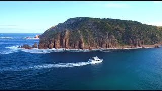 Cape Woolamai Cruise  Phillip Island  Wildlife Coast Cruises [upl. by Gosser]