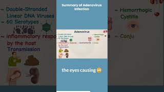 Summary of Adenovirus Infection microbiology101 science bacteria virology [upl. by Harrison]