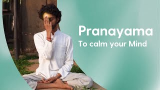 10 minute Pranayama to Calm your Mind 😌 [upl. by Valenka]