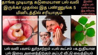 பல் வலிக்கு உடனடி வீட்டு வைத்தியம்  Pal Valikku Theervu Tooth Pain Treatment at home Teath Pain [upl. by Colner]