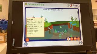 KS4GCSEBIOLOGYEcologyEutrophication [upl. by Graniah]