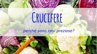 Crucifere perché sono così preziose [upl. by Eiramanin]