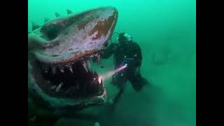 Terrifying underwater shark statue at Lake Neuchatel in Switzerland  mysterious thing  discoveries [upl. by Silsby]