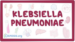 Klebsiella pneumoniae  an Osmosis Preview [upl. by Aikem]