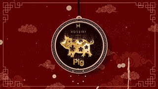 PIG Zodiac Forecast 2024  2024 属猪生肖运势 [upl. by Assina]