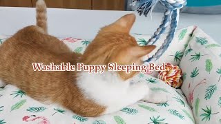 Washable Puppy Sleeping Bed 1404 [upl. by Aiceled]