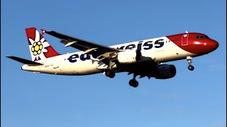 Zürich Flughafen Landungen bei Sonnenuntergang Swiss Edelweiss Helvetic Rega 🇨🇭 4K 60 fps [upl. by Aihsekat]