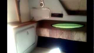 1989 Sea Ray 230 Cuddy Cabin [upl. by Cirded]