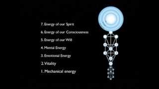 Matter Energy and Consciousness [upl. by Edals]