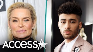 Zayn Malik Reacts To Gigi Hadids Mom Yolandas Reported Claim That He Struck Her [upl. by Matthei]