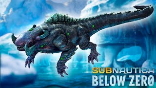 How To CURE THE FROZEN LEVIATHAN In SUBNAUTICA BELOW ZERO [upl. by Haidabo684]