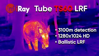 Experience thermal like never before  Infiray Tube TS60 HD LRF Thermal Riflescope [upl. by Hceicjow]