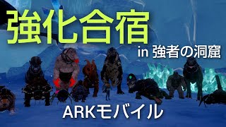 【ARKモバイル】強化合宿 in 強者の洞窟！レベル上げ！ [upl. by Aikemot]