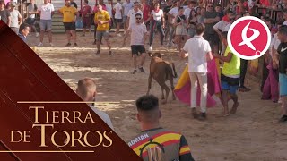 Festejos populares en el corazón de Las Villuercas  Tierra de Toros [upl. by Haleeuqa]