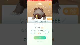 リングマ進化！ short shorts ポケモンGO pokemongo gblifestyle [upl. by Francis674]