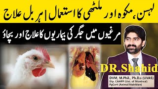 Poultry Liver Disorders Symptoms Prevention amp Treatment By DrShahid Zahoor fattyliverdisease [upl. by Donovan]