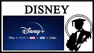 Disney Lawsuit Is Insane [upl. by Oyam74]