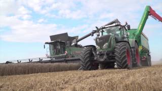 Erntezeit auf Rügen  Ein Marktfruchtbetrieb mit 1800 Hektar  Fendt [upl. by Eiger65]