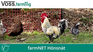 Ett perfekt hönsstängsel – farmNET stängselnät från VOSSfarming [upl. by Occor]