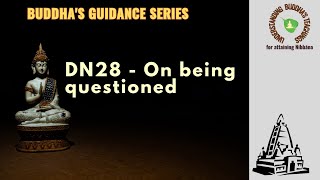 DN 28  On Being Questioned [upl. by Ahsinroc]