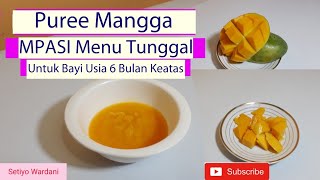 Resep MPASI Untuk Bayi 6 Bulan KeatasMPASI Pertama Menu Tunggal Puree Mangga Homemade Baby Food [upl. by Irahs]