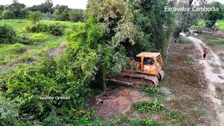 Amazing Heavy Old Heavy Bulldozer Working Breakdown Tree Making New Road With Small Dozer And Truck [upl. by Jourdan]