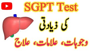 SGPT Test in Urdu Treatment Symptoms Causes amp Normal range [upl. by Piwowar]