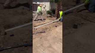 Proper irrigation is essential ArizonaLandscaping QualityMatters LandscapingTips [upl. by Arraet651]