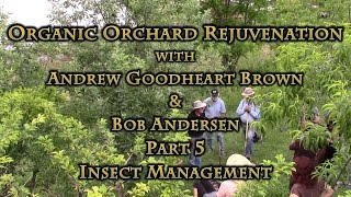 Organic Orchard Rejuvenation Part 5 Insect Management [upl. by Launcelot599]