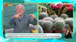 Ciudad Viva  Conversamos con Claudio Melloni El FengShui y las plantas [upl. by Garv951]