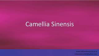 Pronunciation of the words quotCamellia Sinensisquot [upl. by Bibah937]