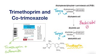 Trimethoprim and Cotrimoxazole  Infectious Disease [upl. by Ahsinod]