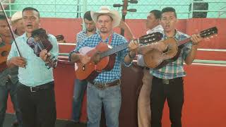 Suena La Banda Conjunto Familias Unidas [upl. by Nnyltiak174]