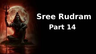 Part 14  Si Rudram  How to Chant Sri Rudram A StepbyStep Guide for Beginners  Shiva Sadhana [upl. by Kenward]